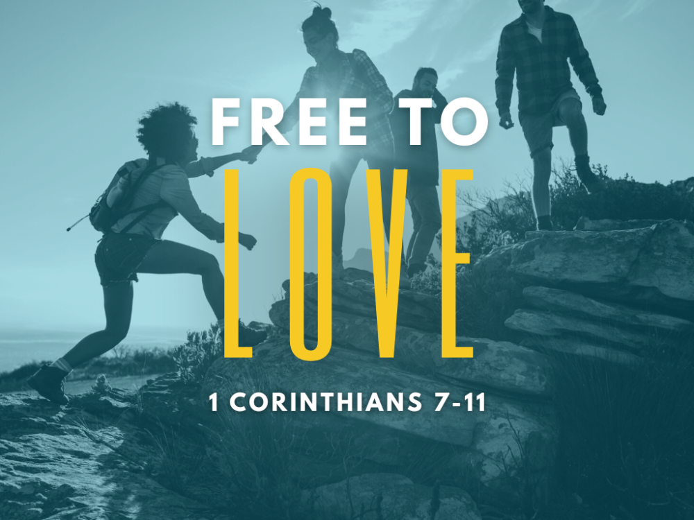 Free to love