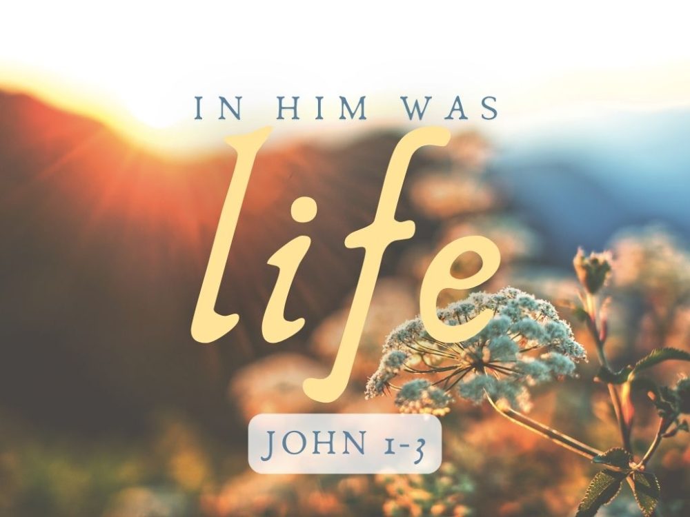 In him was life - John 1-3